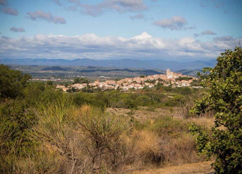 OENORANDO® LES HAUTS DE CORNEILHAN