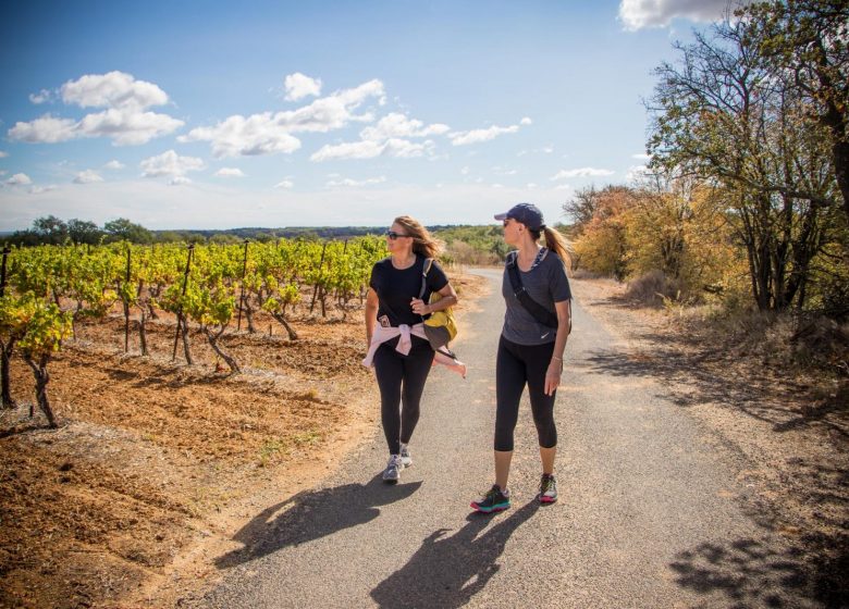 OENORANDO® LES HAUTS DE CORNEILHAN